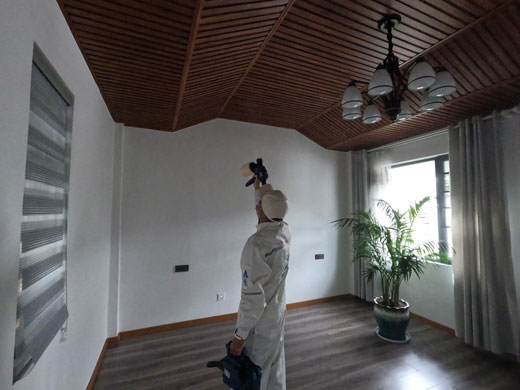 丽江别墅除甲醛