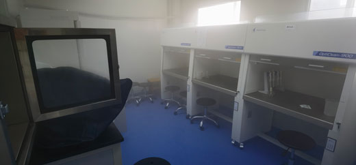 丽江学校除甲醛
